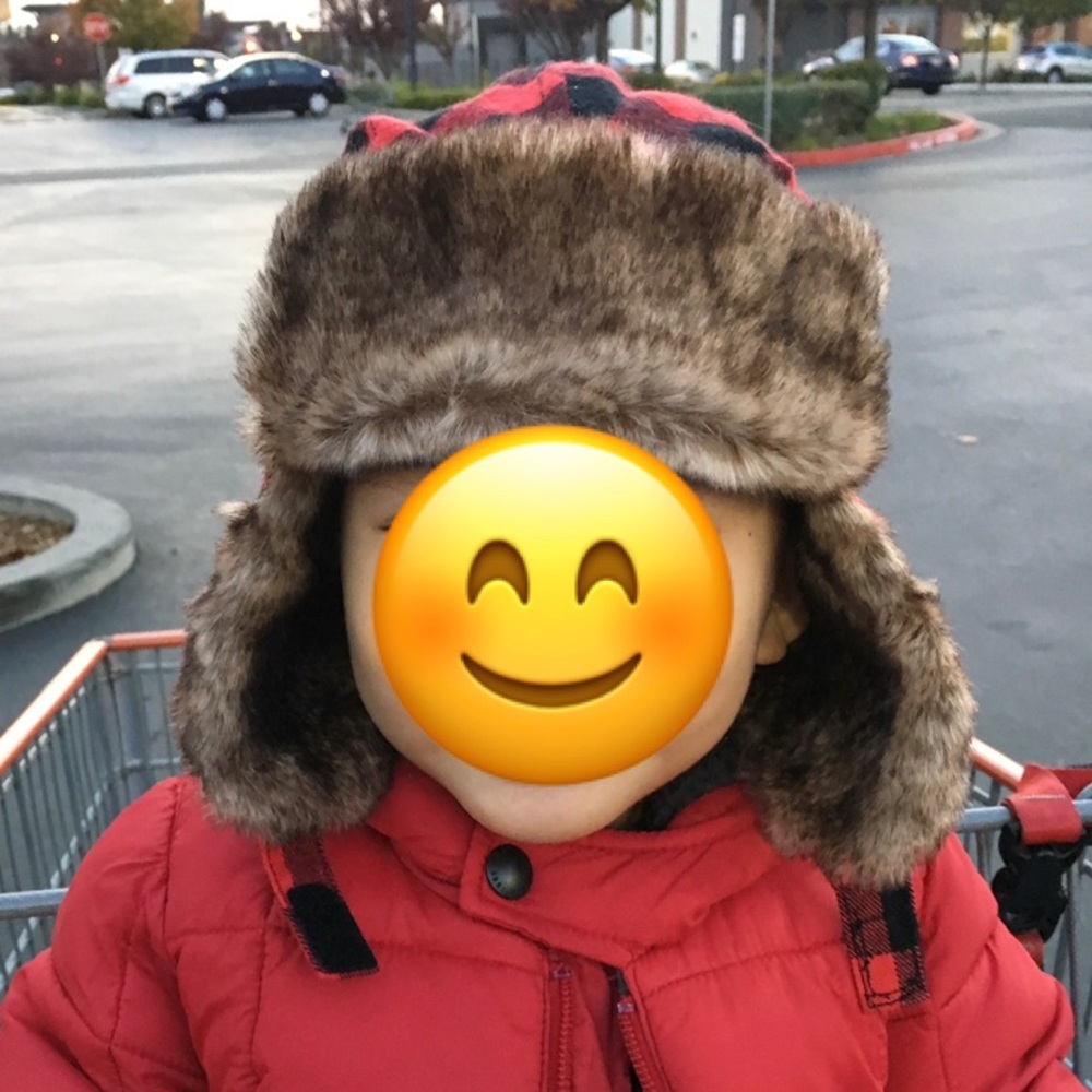 Old Navy Trapper Hat Beanie Plaid Fleece Lined Faux Fur 18-24m (like Gap, Zara)